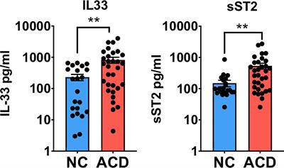 IL-33 Alarmin and Its Active Proinflammatory Fragments Are Released in Small Intestine in Celiac Disease